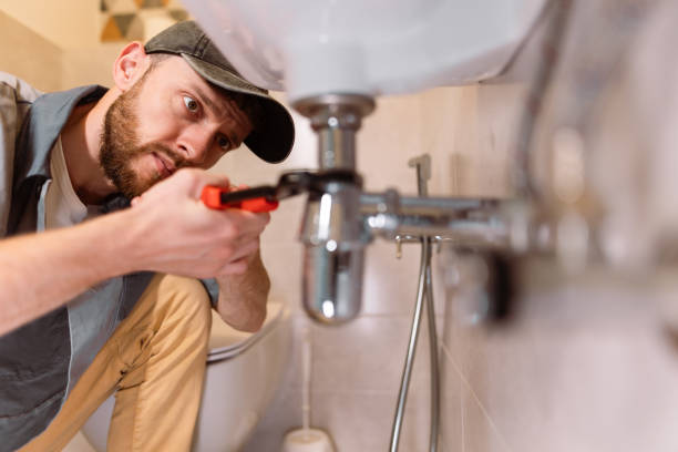 Best Plumbing Services Near Me  in Lake Crystal, MN